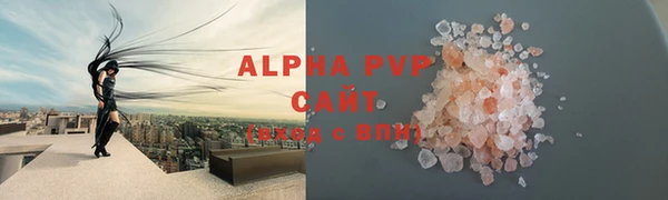 индика Тайга