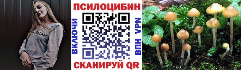 продажа наркотиков  Козьмодемьянск  нарко площадка как зайти  Галлюциногенные грибы Cubensis 
